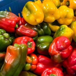 Pimentón Tres Colores Kosher (500g)