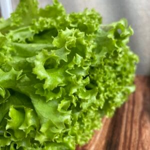 Lechuga Hidropónica Kosher (1 unidad)