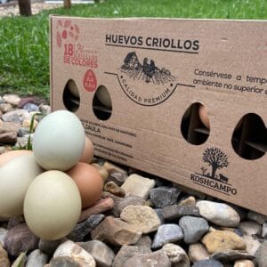 Huevos criollos x18