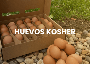 HUEVOS KOSHER